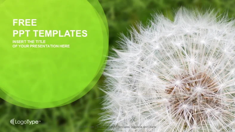 Dandelion On Grass-Nature PPT Templates