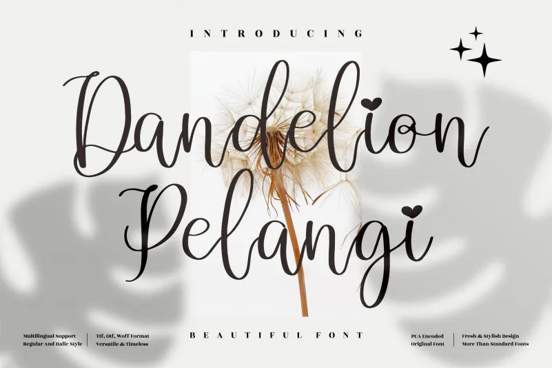 Dandelion Pelangi Font