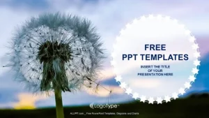 Dandelion seeds PowerPoint Templates