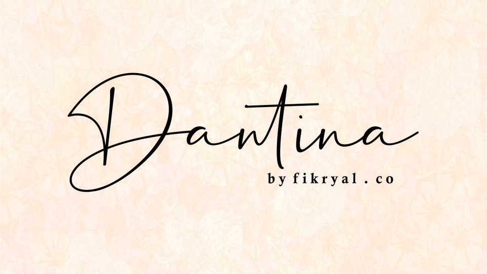 Dantina Script Font › Fontesk