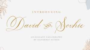 David & Sovhie Script Font › Fontesk