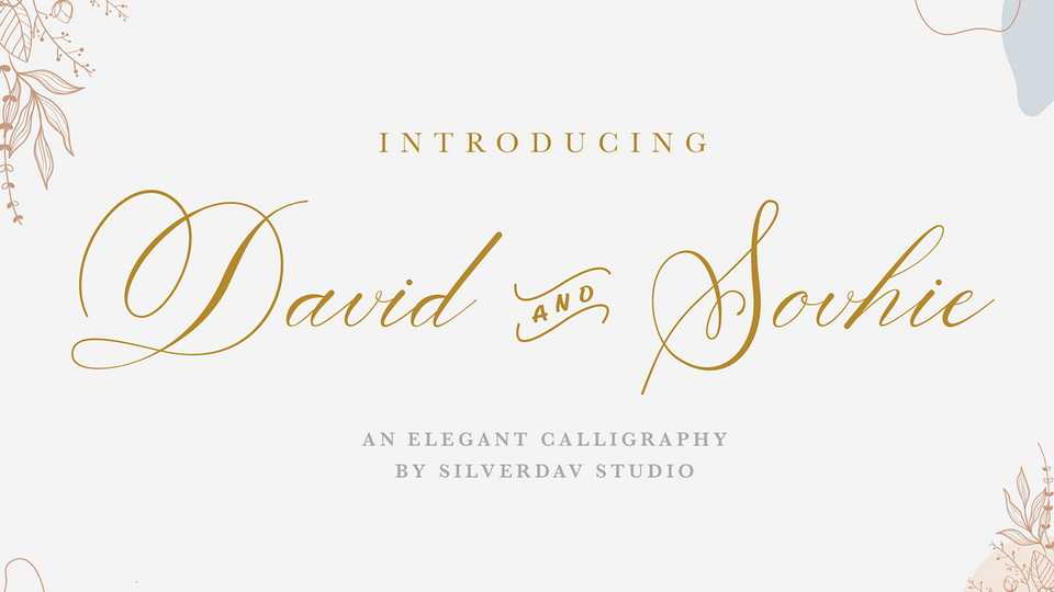 David & Sovhie Script Font › Fontesk