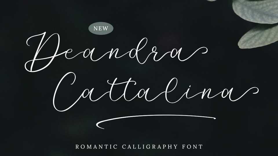 Deandra Cattalina Font › Fontesk