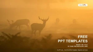 Deer in the mist PowerPoint Templates