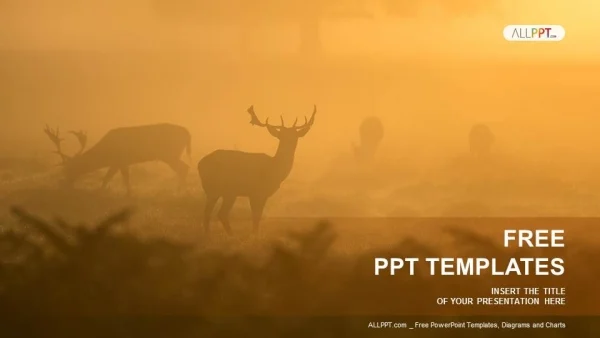 Deer in the mist PowerPoint Templates