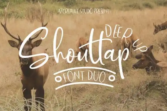 DeerUp Shouttap Font Duo