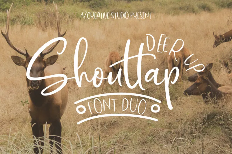DeerUp Shouttap Font