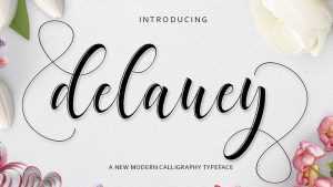 Delaney Script Font › Fontesk