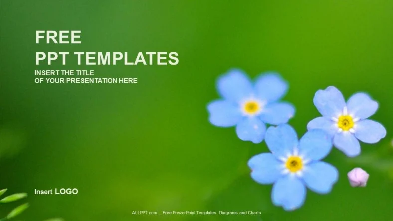 Delicate Blue-Nature PPT Templates