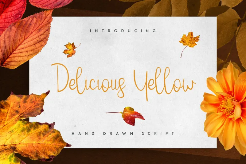 Delicious yellow Script Font