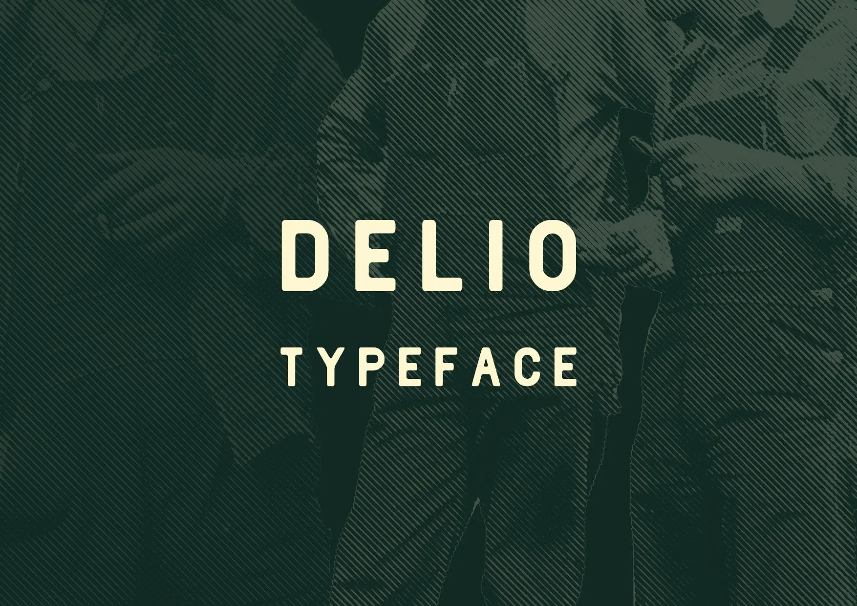 Delio Typeface