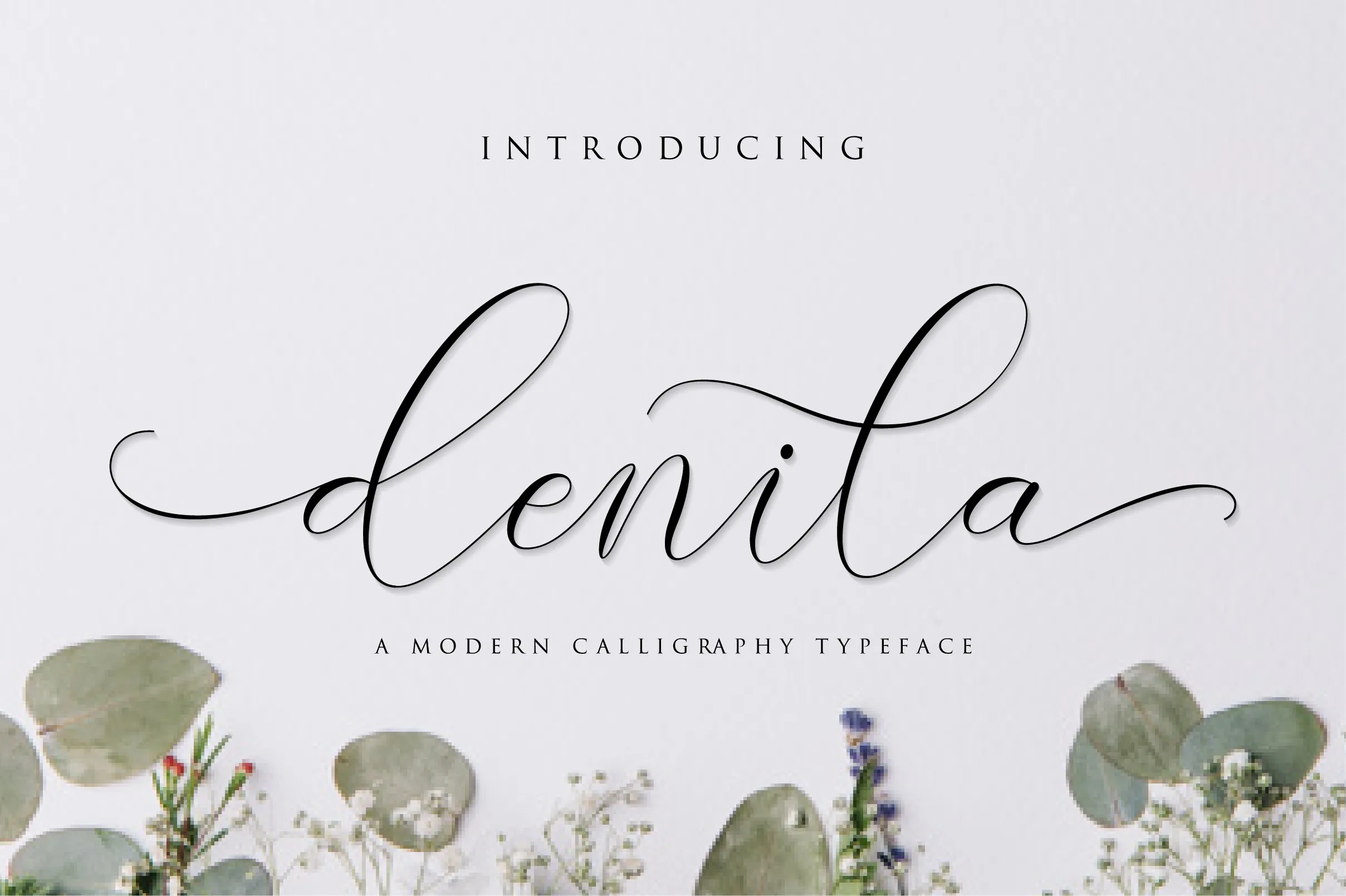 Denila Font