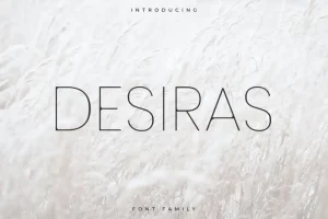 Desiras Sans Serif Font