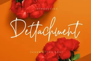 Dettachment Handwritten Font