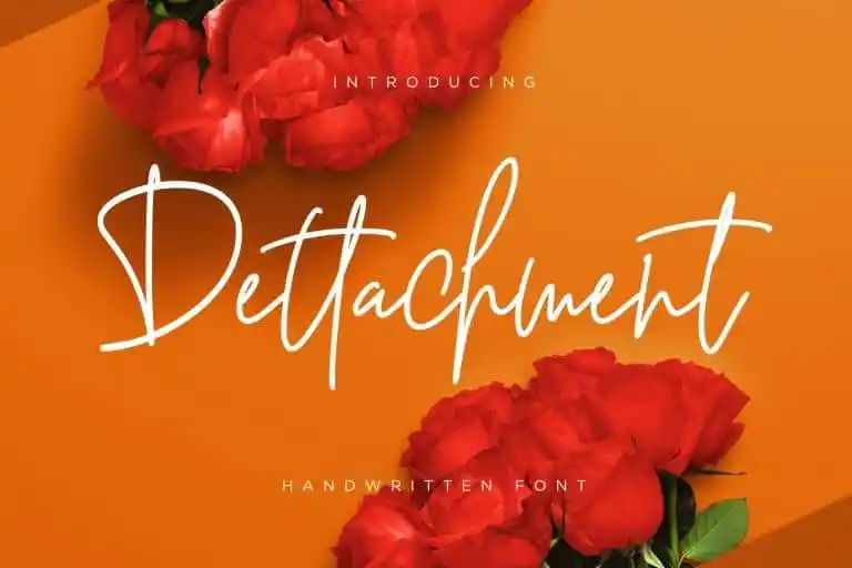 Dettachment Handwritten Font