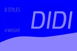 Didi Sans Serif Font