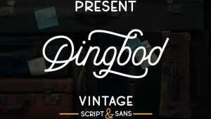Dingbod Script Font › Fontesk