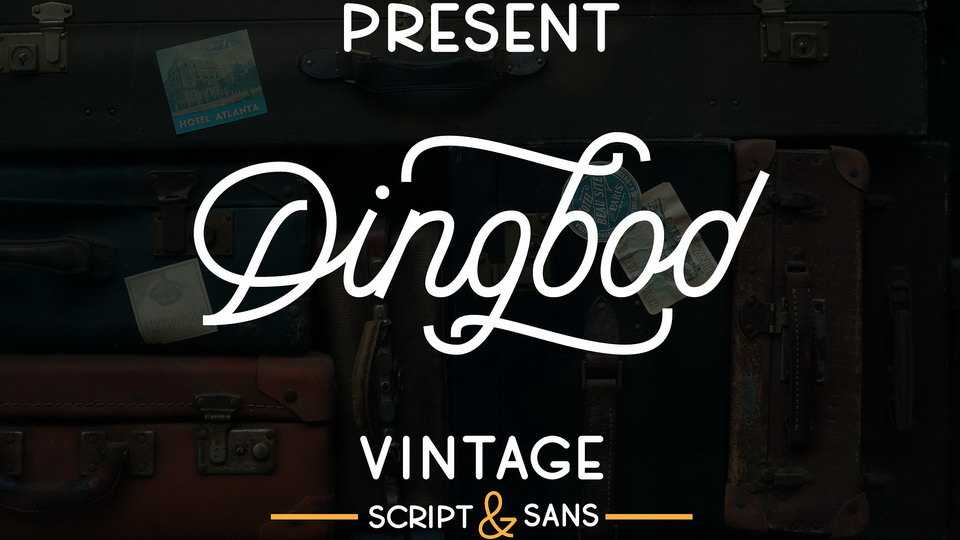 Dingbod Script Font › Fontesk