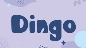 Dingo Font › Fontesk
