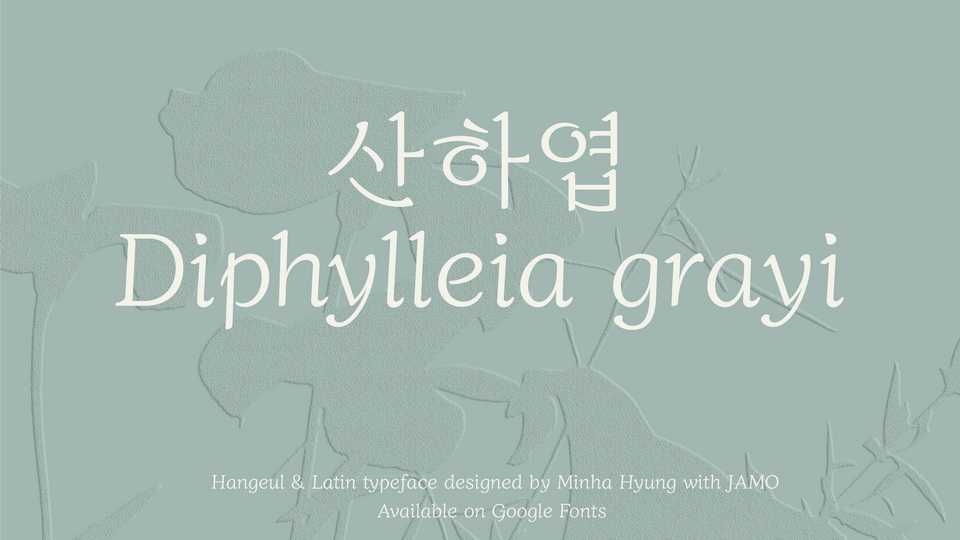 Diphylleia Font › Fontesk