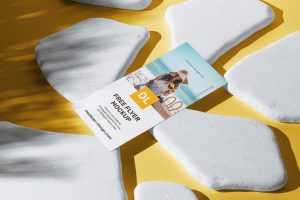 DL flyer with white stones mockup