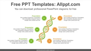 DNA chromosomes PowerPoint Diagram Template