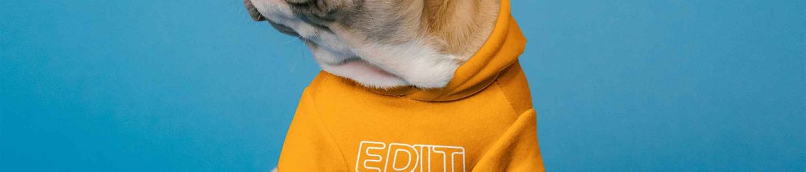Dog Clothes Mockup