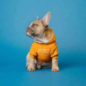 Dog Clothes Mockup