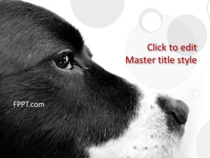 Dog PowerPoint Template