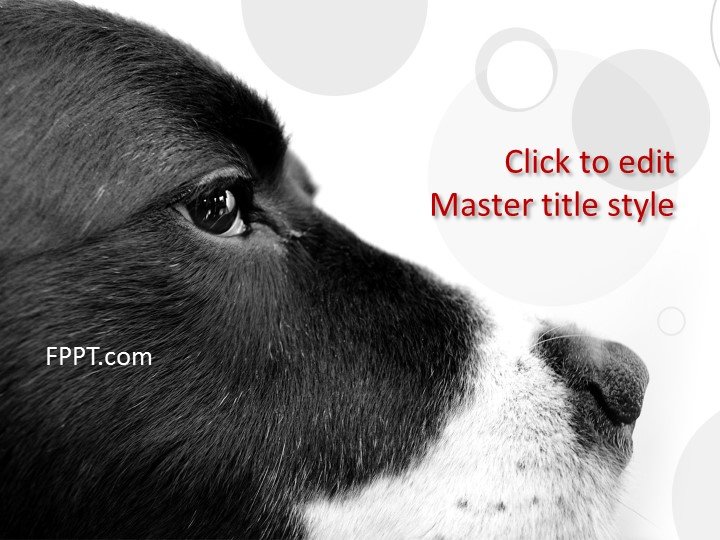 Dog PowerPoint Template