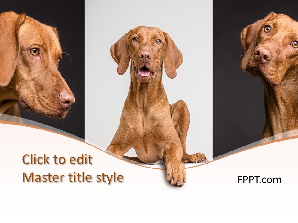 Dogs PowerPoint Template