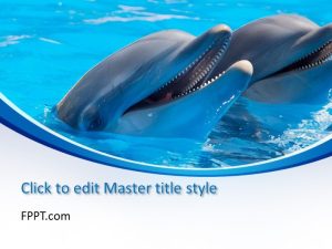 Dolphin PowerPoint Template