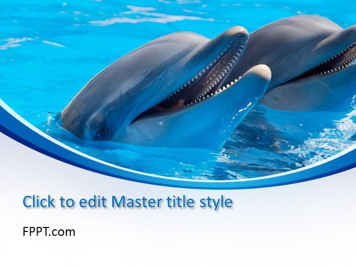 Dolphin PowerPoint Template