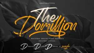 Domillion Brush Font › Fontesk