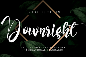Downright Script Font