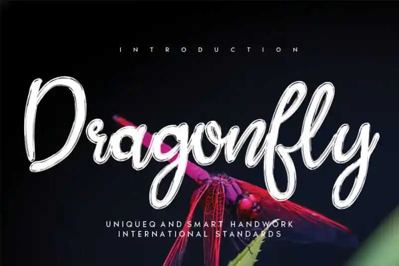 Dragonfly Brush Font