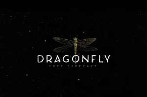 Dragonfly Typeface