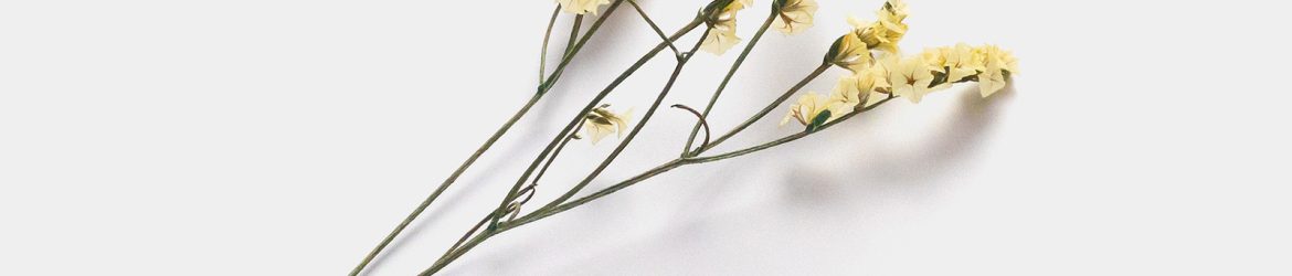 Dried flower