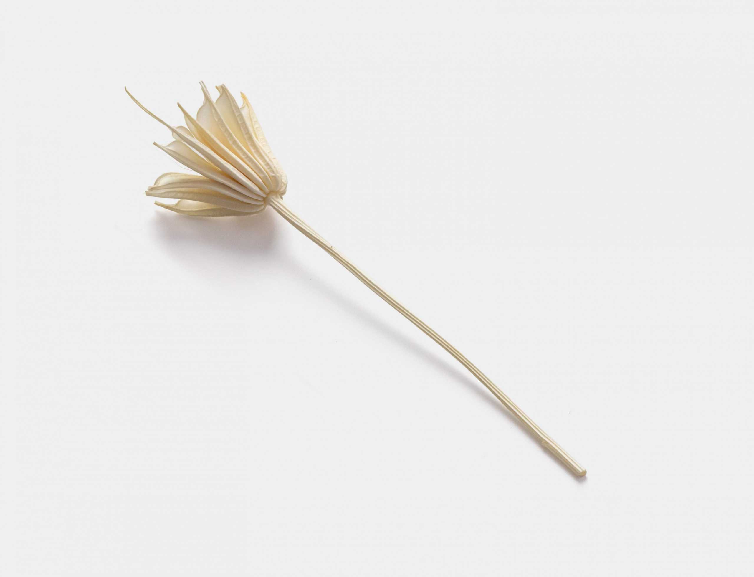 Dried leaf mockup