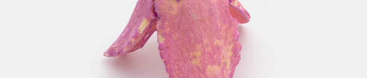 Dried pink flower