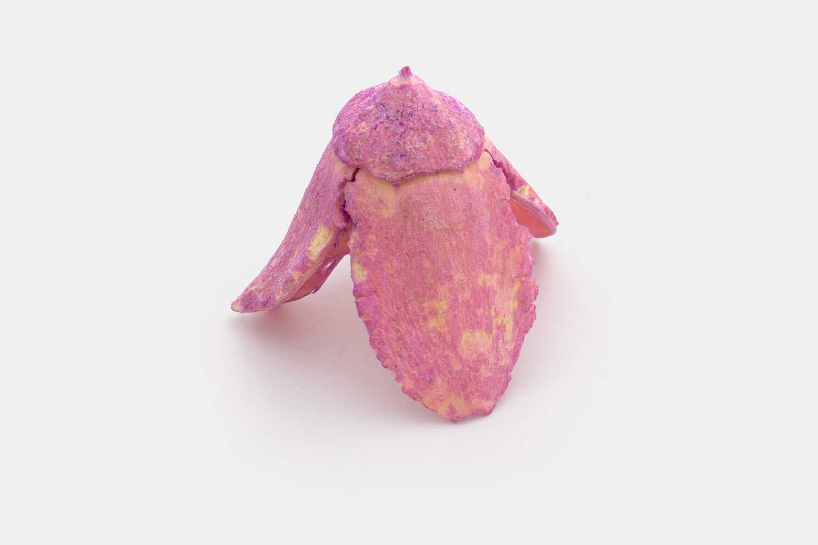 Dried pink flower