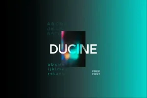 DUCINE Sans Serif Font
