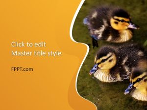 Duckling PowerPoint Template