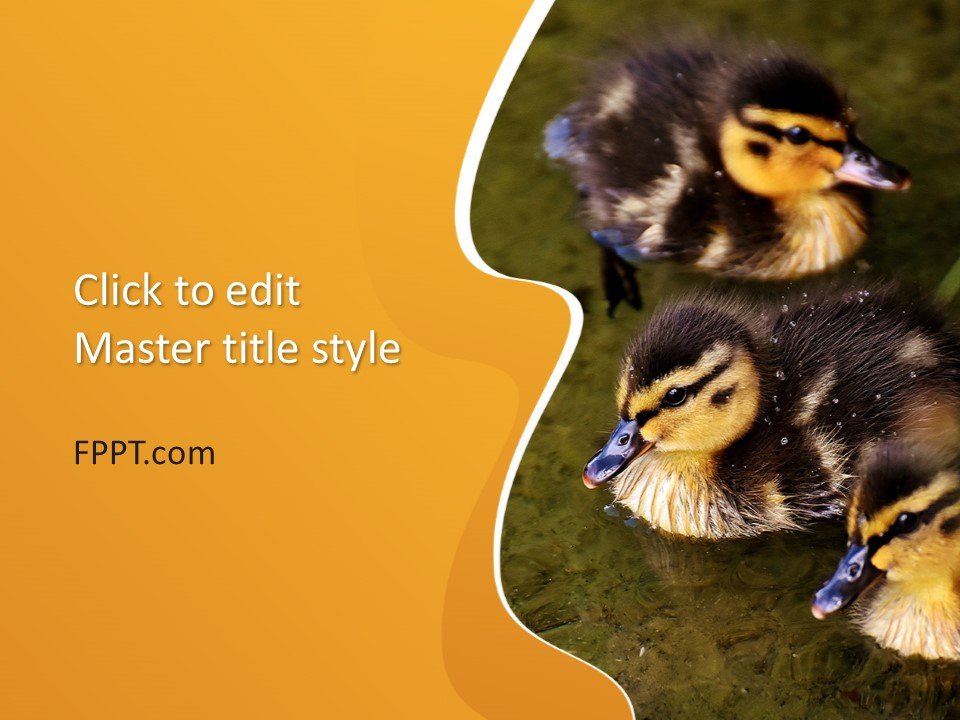 Duckling PowerPoint Template