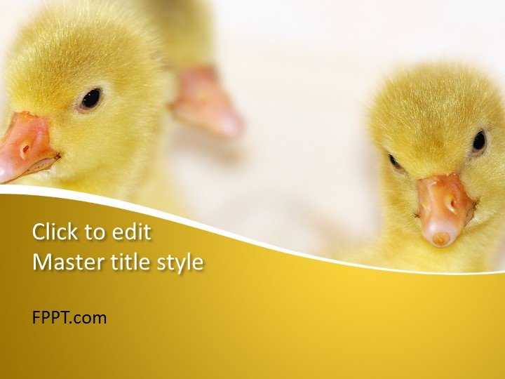 Ducklings PowerPoint Template