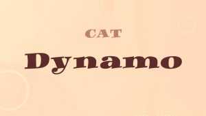 Dynamo Font › Fontesk