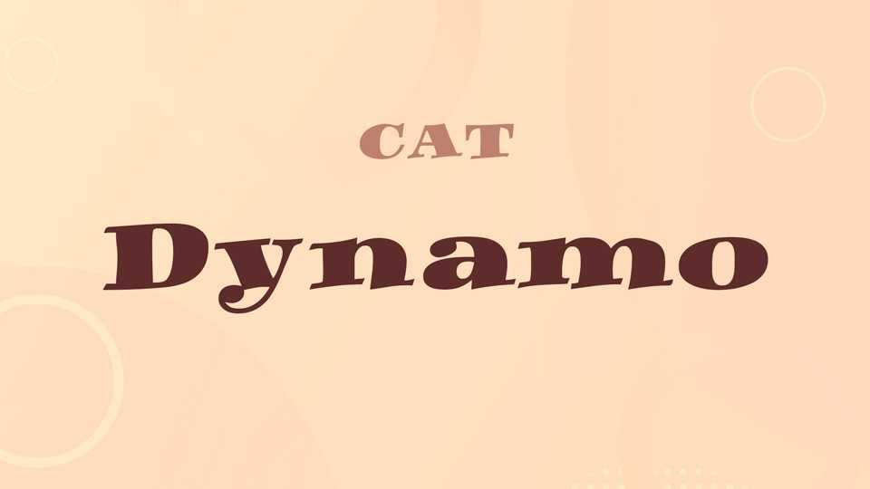 Dynamo Font › Fontesk