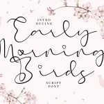 Early Morning Birds Font