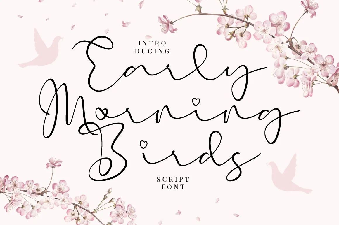 Early Morning Birds Font