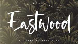 Eastwood Font › Fontesk